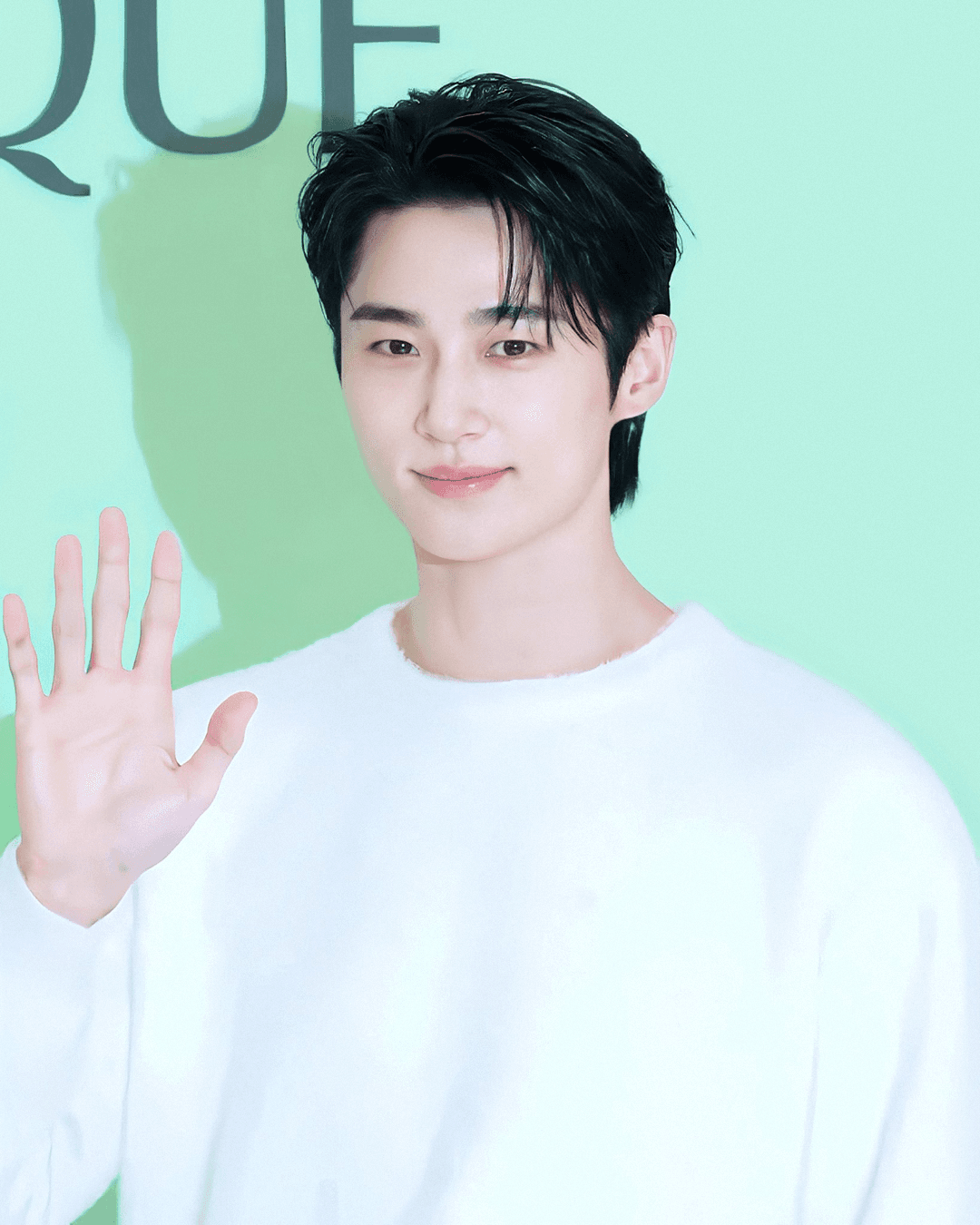 Byeon Woo-seok at a 2024 photocall